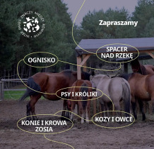 Fundacja Inter Pares